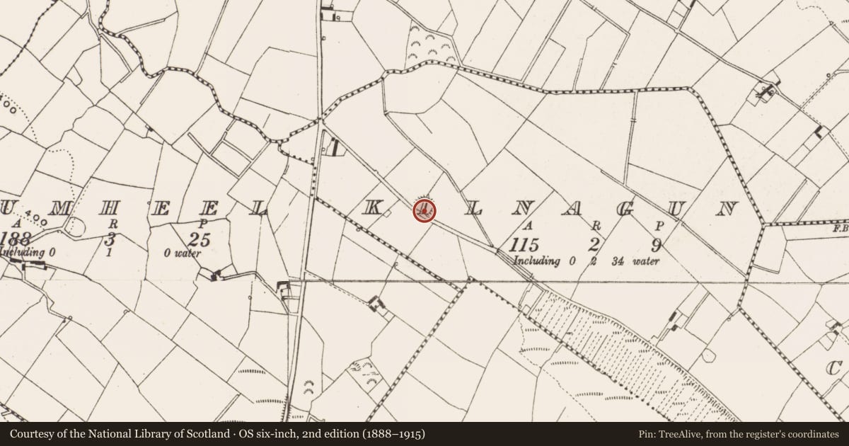 Ordnance Survey six-inch map, 2nd edition (1888–1915) covering the location of Ringfort - rath, Kilnagun, County Cavan, with a pin at the register's coordinates
