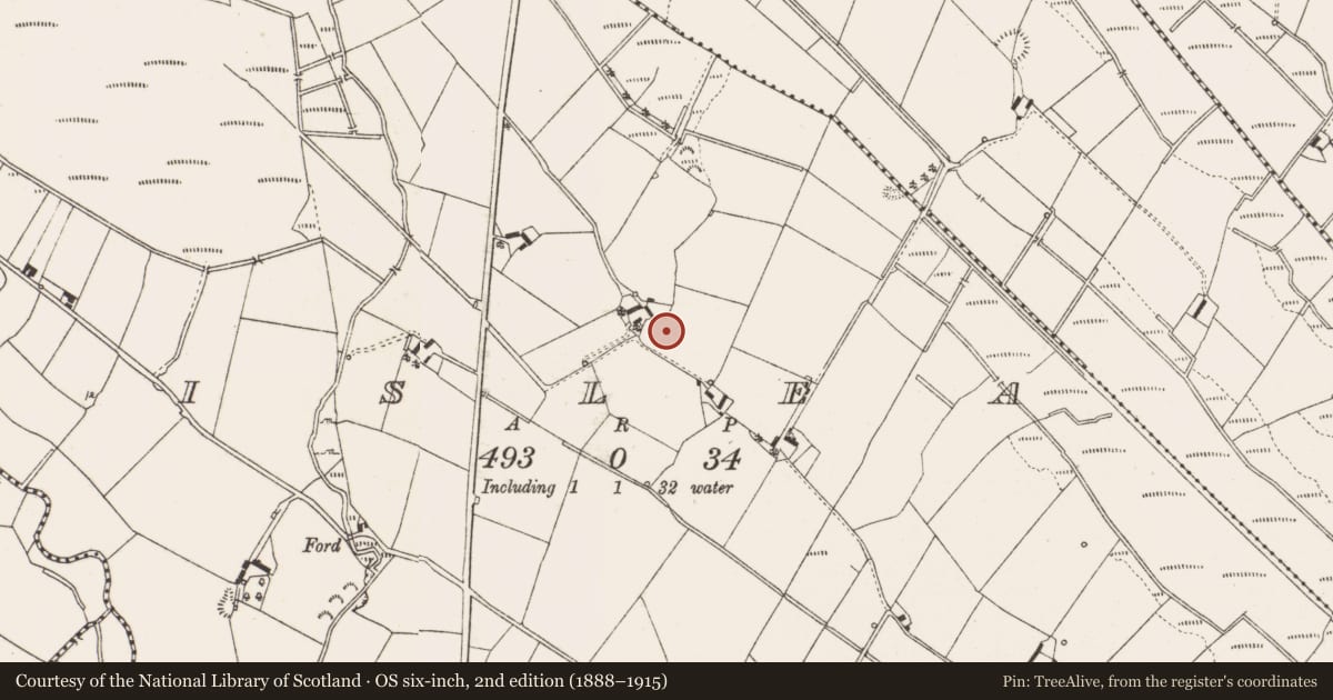 Ordnance Survey six-inch map, 2nd edition (1888–1915) covering the location of Ringfort - rath, Lislea, County Cavan, with a pin at the register's coordinates