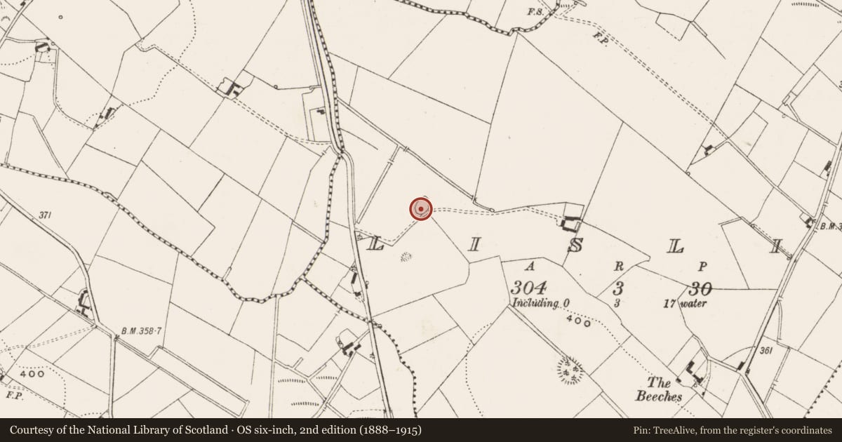 Ordnance Survey six-inch map, 2nd edition (1888–1915) covering the location of Ringfort - rath, Lislin, County Cavan, with a pin at the register's coordinates