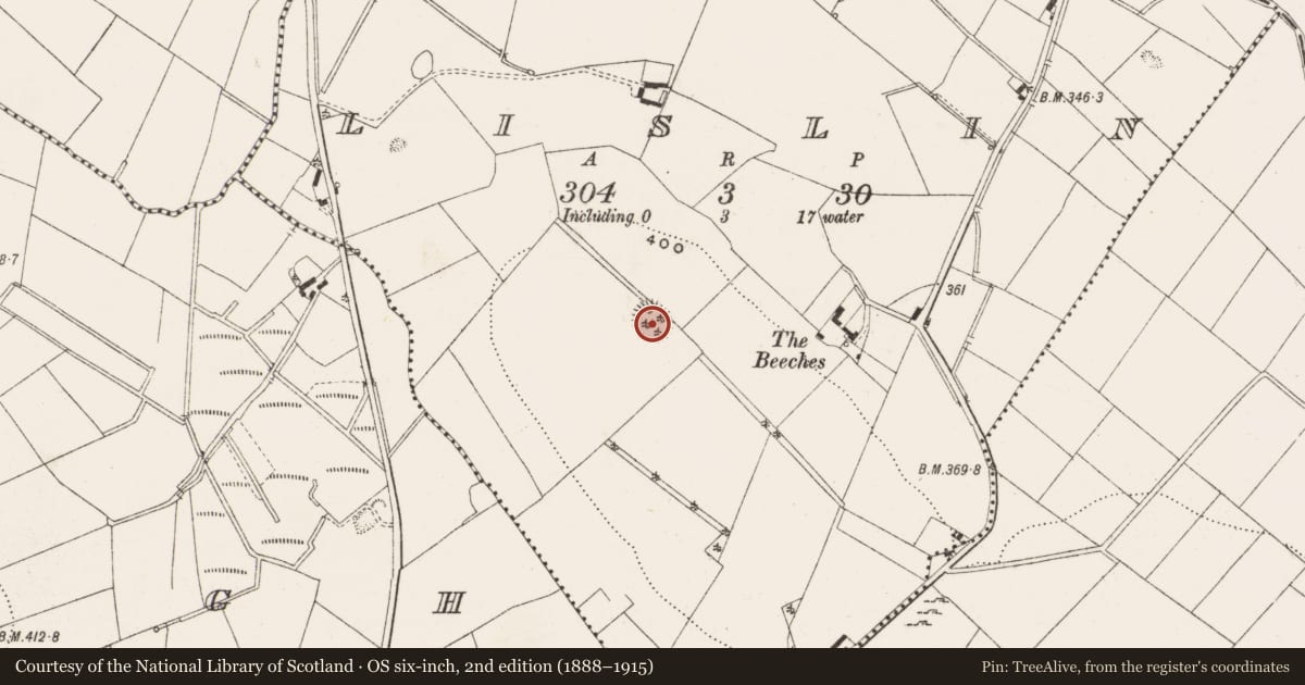 Ordnance Survey six-inch map, 2nd edition (1888–1915) covering the location of Ringfort - rath, Lislin, County Cavan, with a pin at the register's coordinates