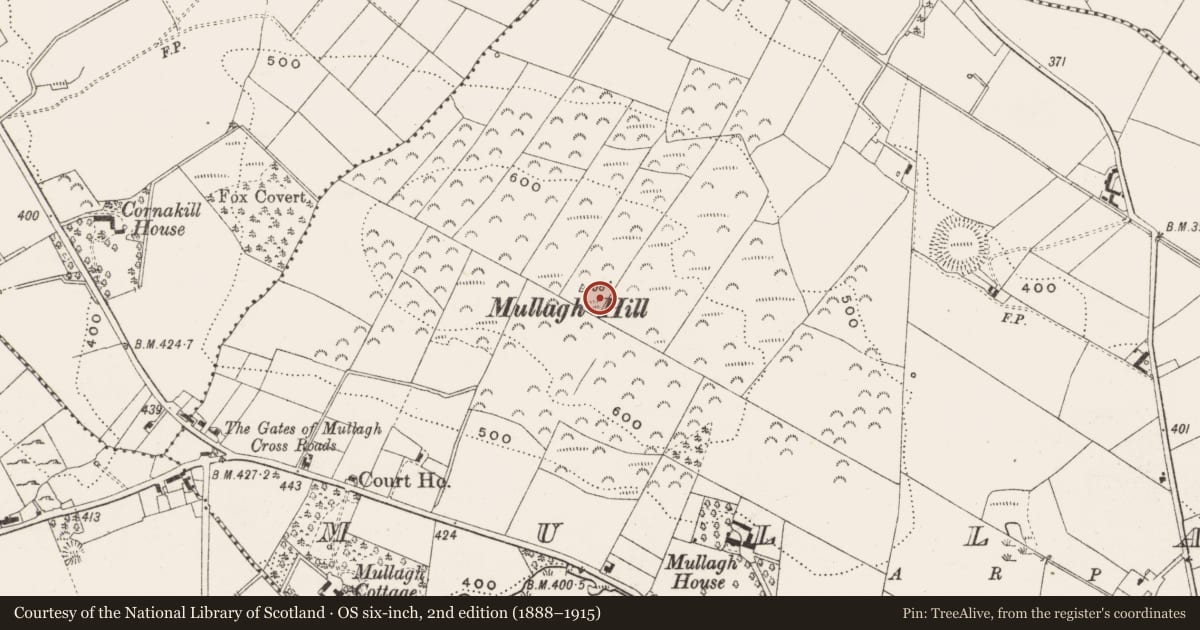 Ordnance Survey six-inch map, 2nd edition (1888–1915) covering the location of Cairn - unclassified, Mullagh, County Cavan, with a pin at the register's coordinates