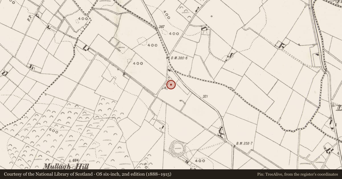 Ordnance Survey six-inch map, 2nd edition (1888–1915) covering the location of Ringfort - rath, Mullagh, County Cavan, with a pin at the register's coordinates