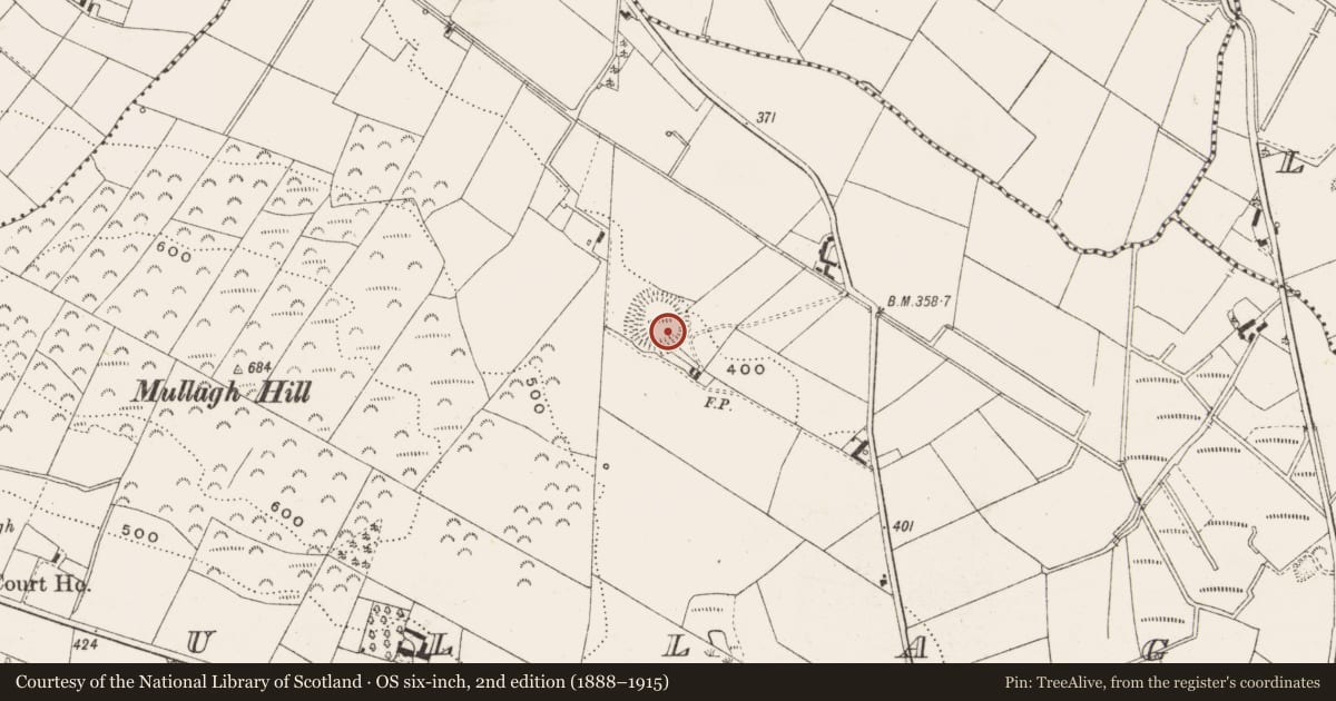 Ordnance Survey six-inch map, 2nd edition (1888–1915) covering the location of Ringfort - rath, Mullagh, County Cavan, with a pin at the register's coordinates
