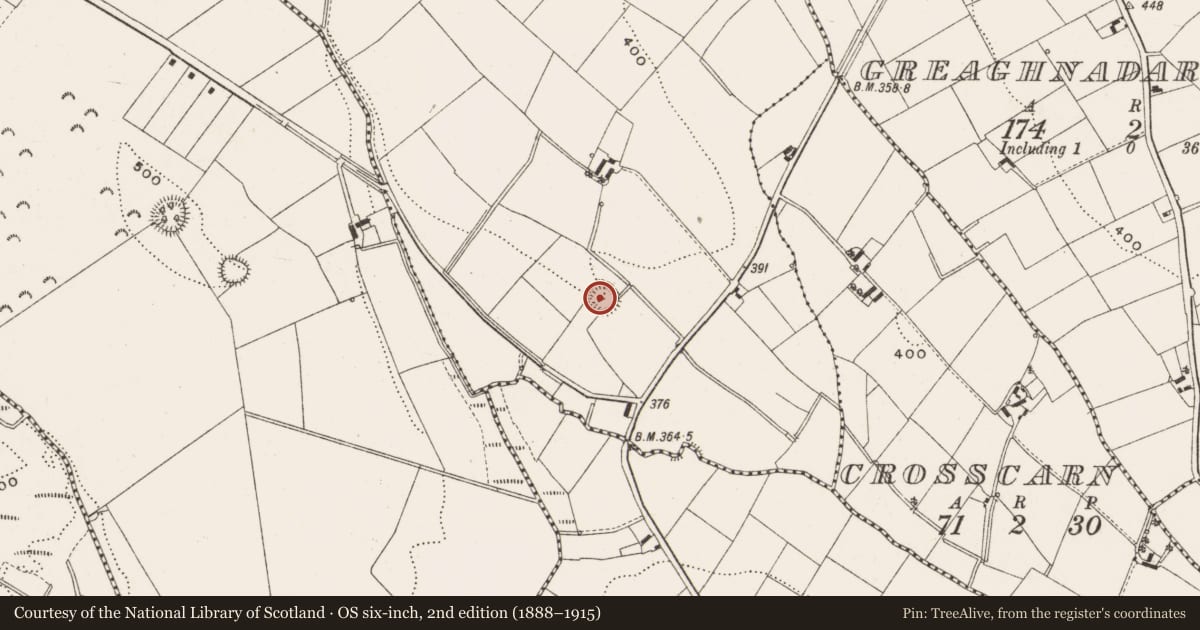 Ordnance Survey six-inch map, 2nd edition (1888–1915) covering the location of Ringfort - rath, Seeharan, County Cavan, with a pin at the register's coordinates