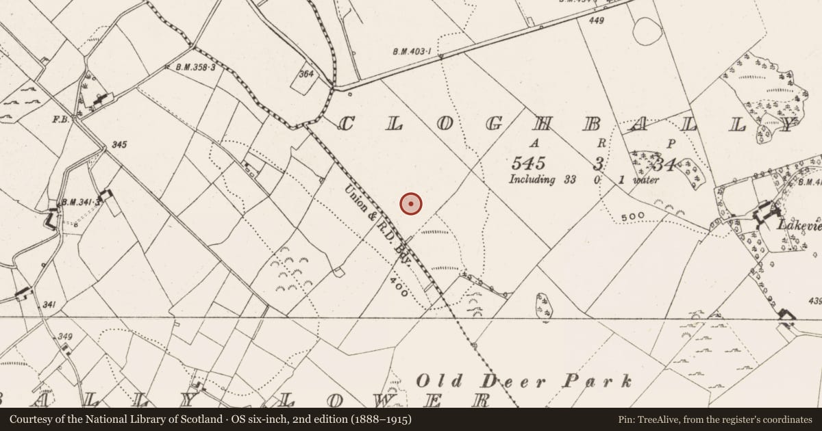 Ordnance Survey six-inch map, 2nd edition (1888–1915) covering the location of Fulacht fia, Cloghballybeg, County Cavan, with a pin at the register's coordinates