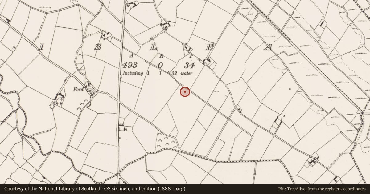 Ordnance Survey six-inch map, 2nd edition (1888–1915) covering the location of Fulacht fia, Lislea, County Cavan, with a pin at the register's coordinates
