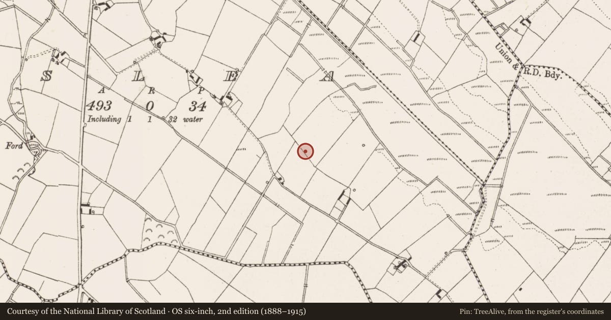 Ordnance Survey six-inch map, 2nd edition (1888–1915) covering the location of Fulacht fia, Lislea, County Cavan, with a pin at the register's coordinates