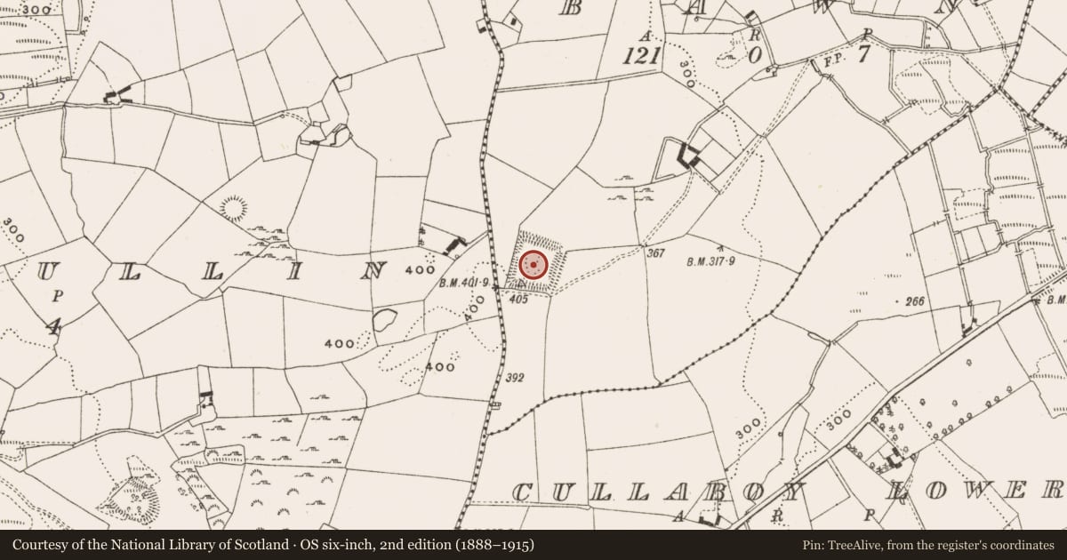Ordnance Survey six-inch map, 2nd edition (1888–1915) covering the location of Moated site, Bawn, County Cavan, with a pin at the register's coordinates