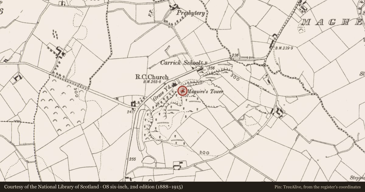 Ordnance Survey six-inch map, 2nd edition (1888–1915) covering the location of Building, Carrick, County Cavan, with a pin at the register's coordinates
