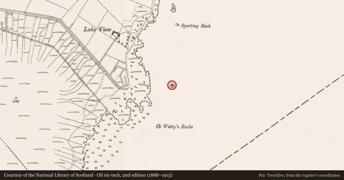 Ordnance Survey six-inch map, 2nd edition (1888–1915) covering the location of Crannog, Carrick, County Cavan, with a pin at the register's coordinates