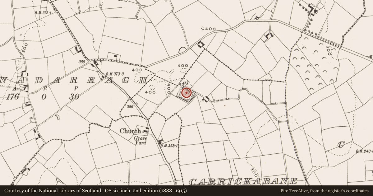 Ordnance Survey six-inch map, 2nd edition (1888–1915) covering the location of Moated site, Carrickabane, County Cavan, with a pin at the register's coordinates