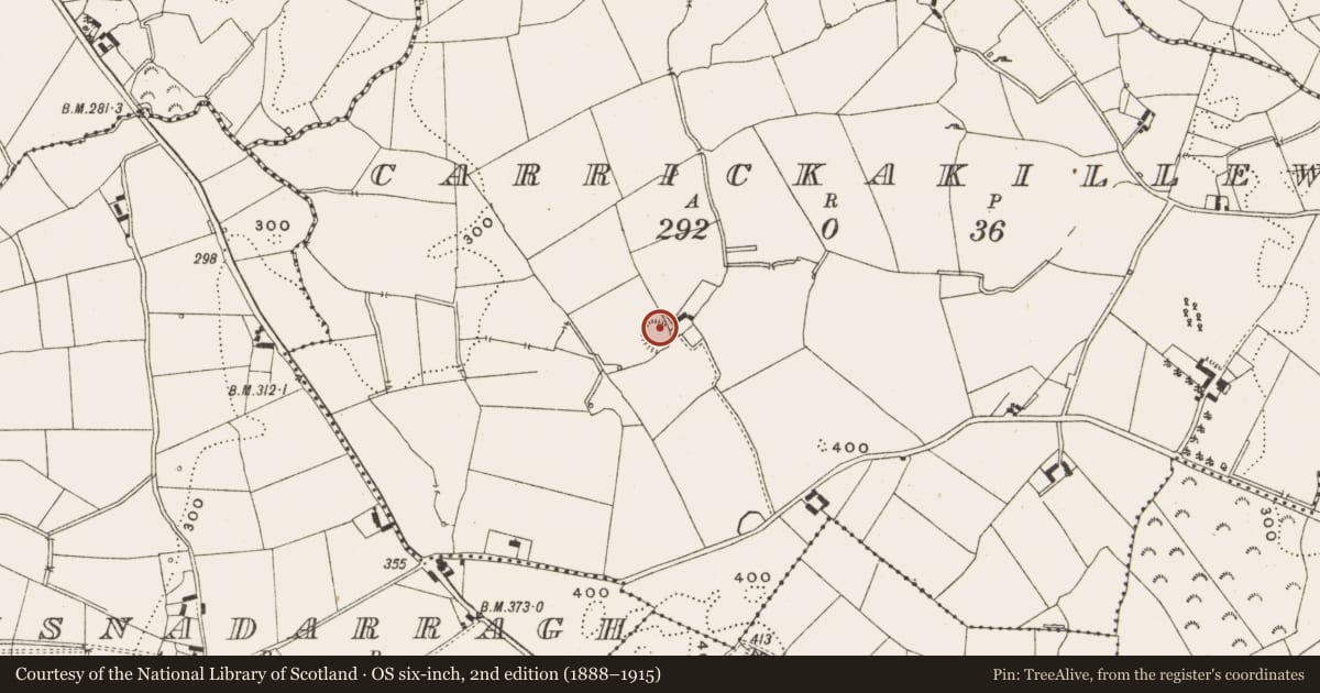 Ordnance Survey six-inch map, 2nd edition (1888–1915) covering the location of Ringfort - rath, Carrickakillew, County Cavan, with a pin at the register's coordinates