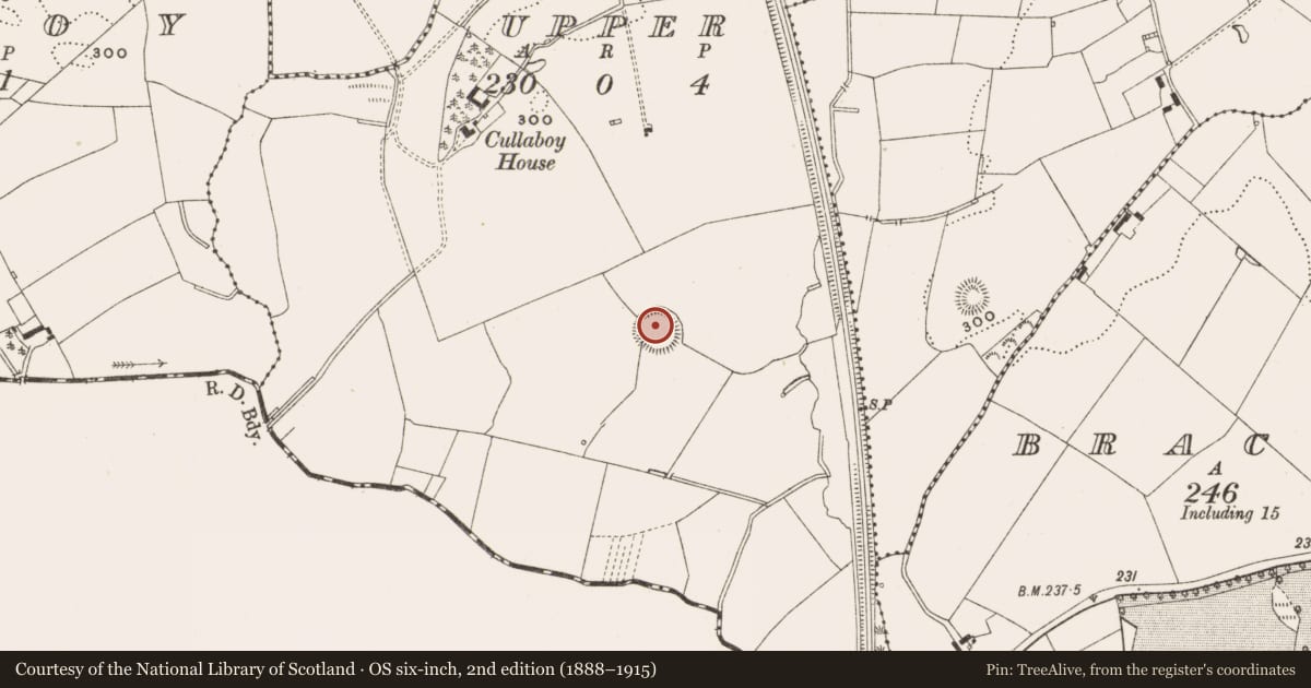 Ordnance Survey six-inch map, 2nd edition (1888–1915) covering the location of Ringfort - rath, Cullaboy Upper, County Cavan, with a pin at the register's coordinates