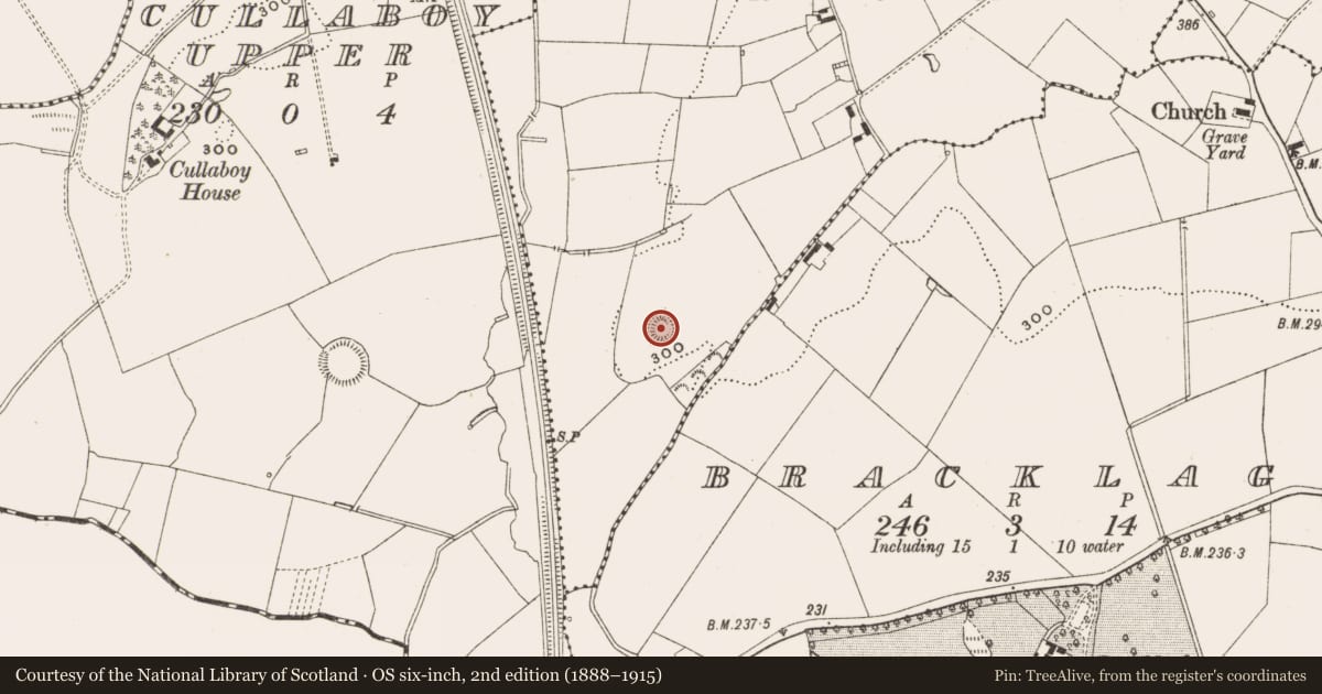 Ordnance Survey six-inch map, 2nd edition (1888–1915) covering the location of Ringfort - rath, Lisnadarragh, County Cavan, with a pin at the register's coordinates