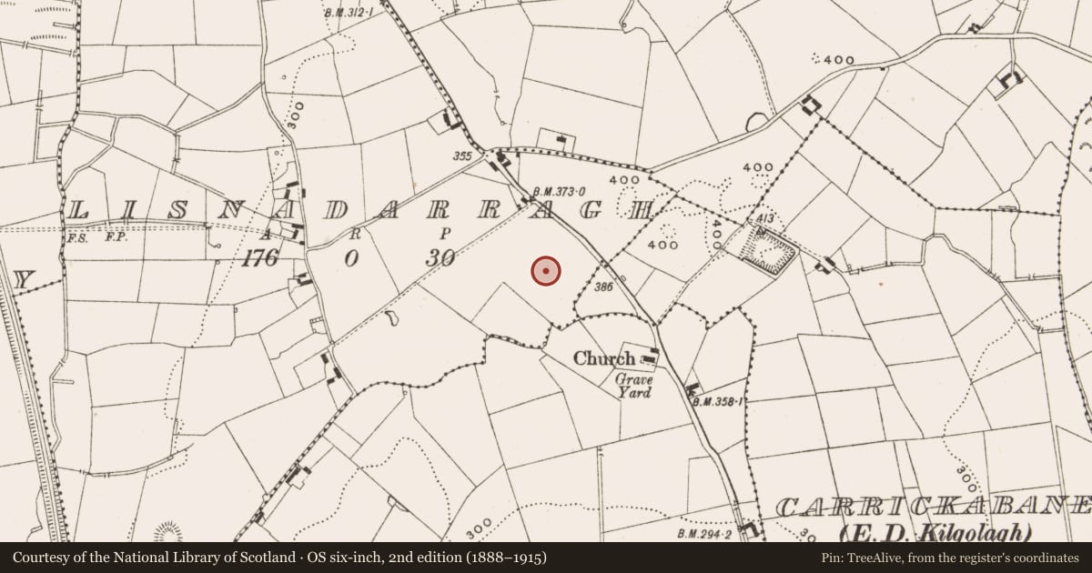 Ordnance Survey six-inch map, 2nd edition (1888–1915) covering the location of Moated site, Lisnadarragh, County Cavan, with a pin at the register's coordinates