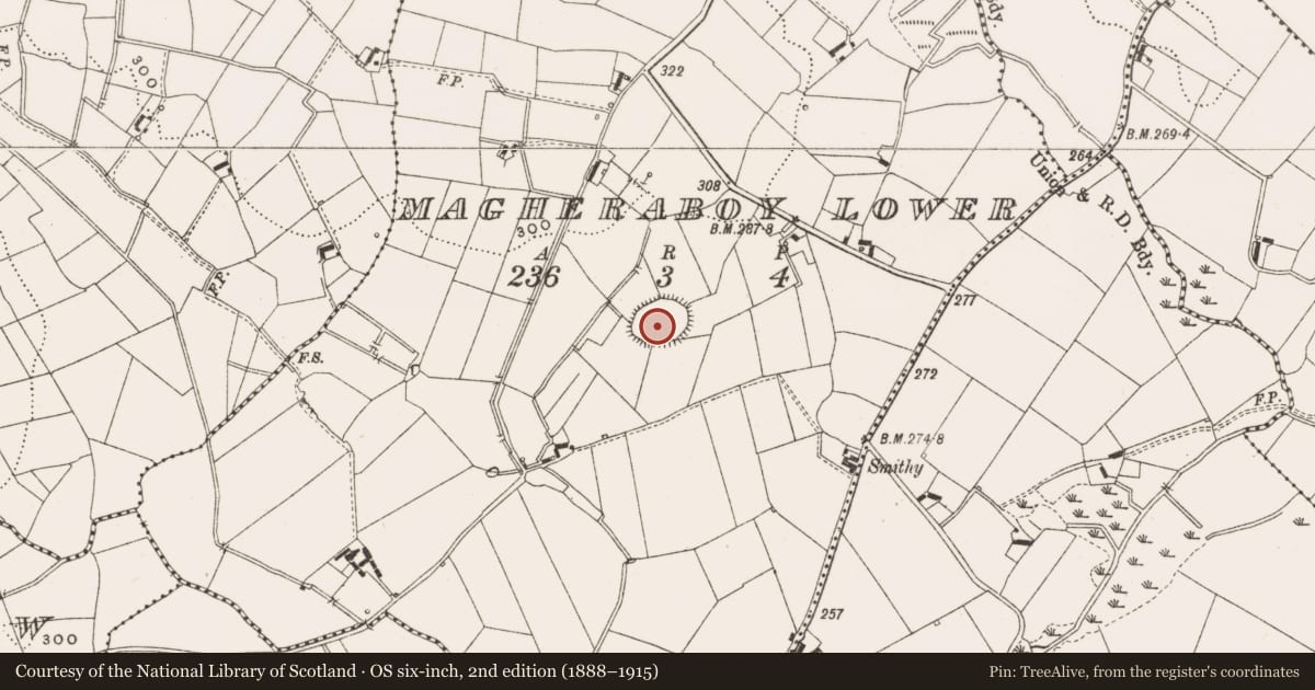 Ordnance Survey six-inch map, 2nd edition (1888–1915) covering the location of Ringfort - rath, Magheraboy Lower, County Cavan, with a pin at the register's coordinates