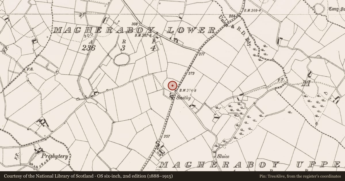 Ordnance Survey six-inch map, 2nd edition (1888–1915) covering the location of Ringfort - rath, Magheraboy Lower, Magheraboy Upper, County Cavan, with a pin at the register's coordinates