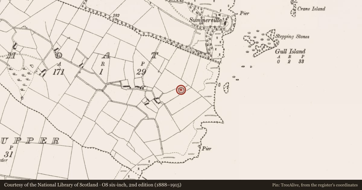 Ordnance Survey six-inch map, 2nd edition (1888–1915) covering the location of Castle - motte, Moat, County Cavan, with a pin at the register's coordinates