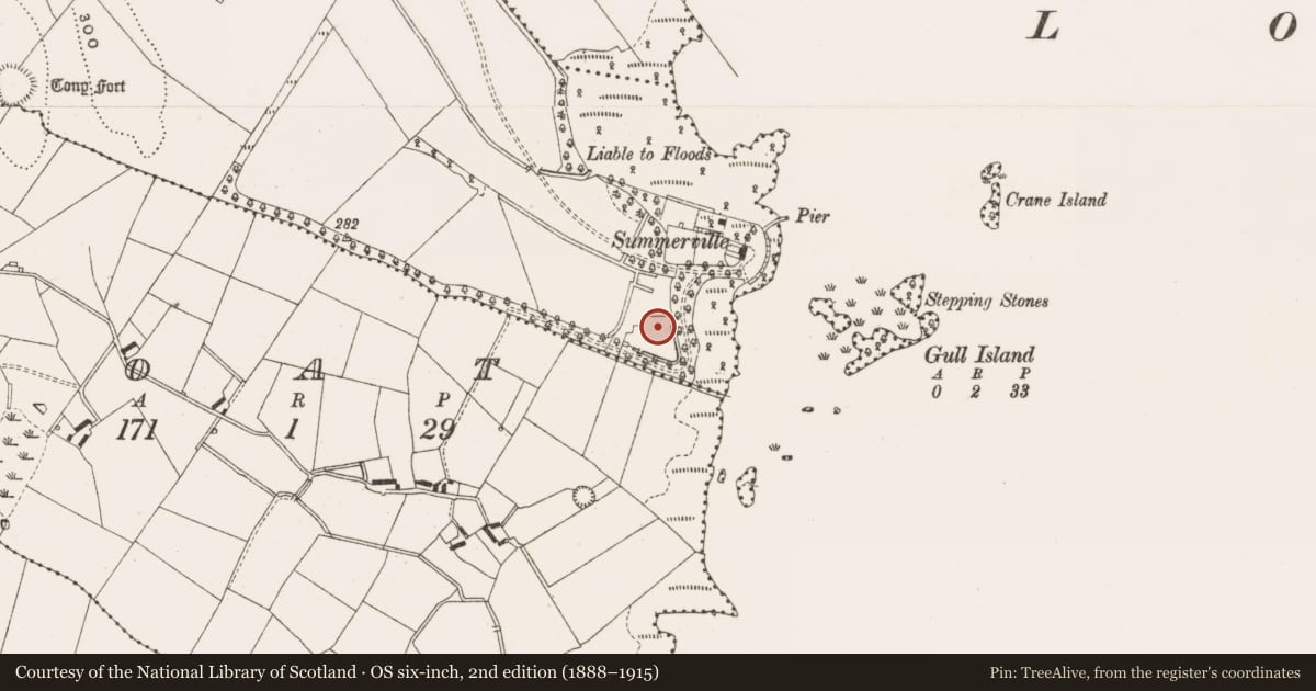 Ordnance Survey six-inch map, 2nd edition (1888–1915) covering the location of Designed landscape - tree-ring, Moydristan, County Cavan, with a pin at the register's coordinates