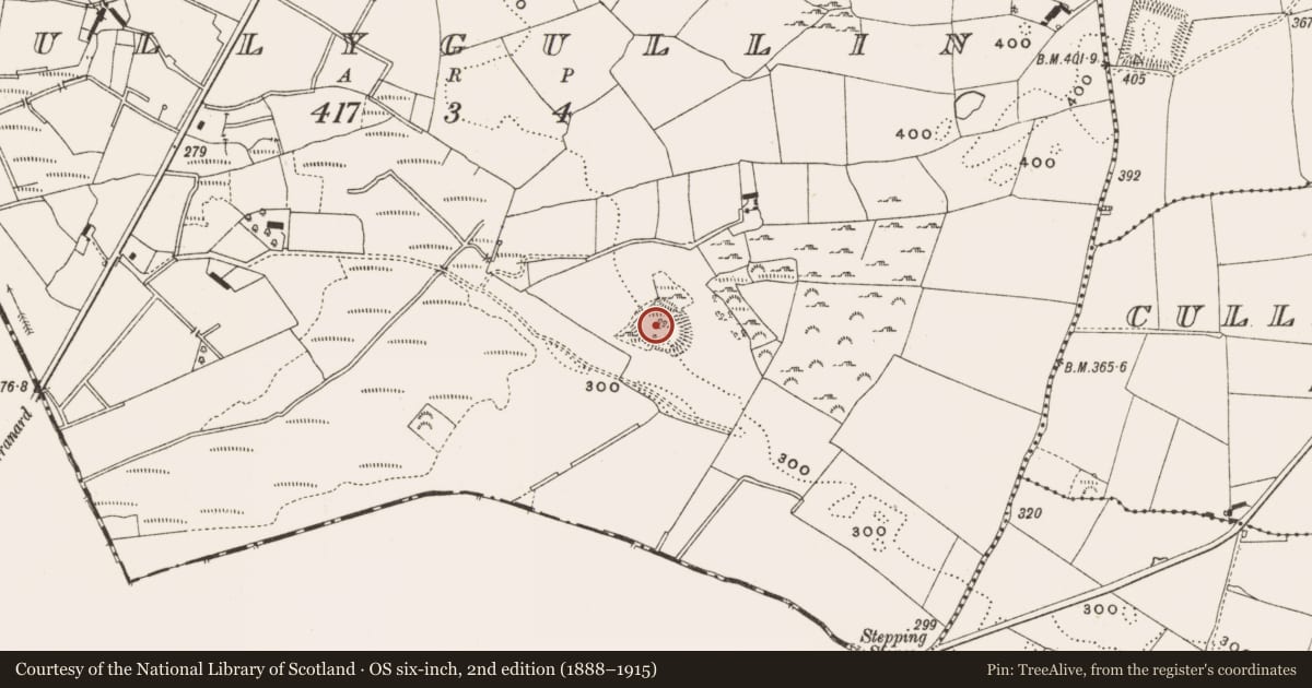 Ordnance Survey six-inch map, 2nd edition (1888–1915) covering the location of Enclosure, Tullygullin, County Cavan, with a pin at the register's coordinates