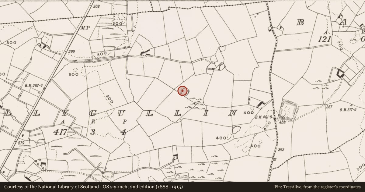 Ordnance Survey six-inch map, 2nd edition (1888–1915) covering the location of Ringfort - rath, Tullygullin, County Cavan, with a pin at the register's coordinates
