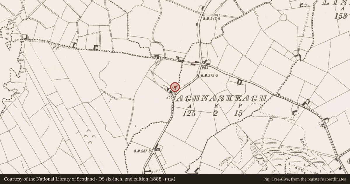 Ordnance Survey six-inch map, 2nd edition (1888–1915) covering the location of Church, Aghnaskeagh, County Cavan, with a pin at the register's coordinates