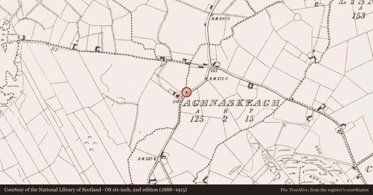 Ordnance Survey six-inch map, 2nd edition (1888–1915) covering the location of Cross - Wayside cross, Aghnaskeagh, County Cavan, with a pin at the register's coordinates