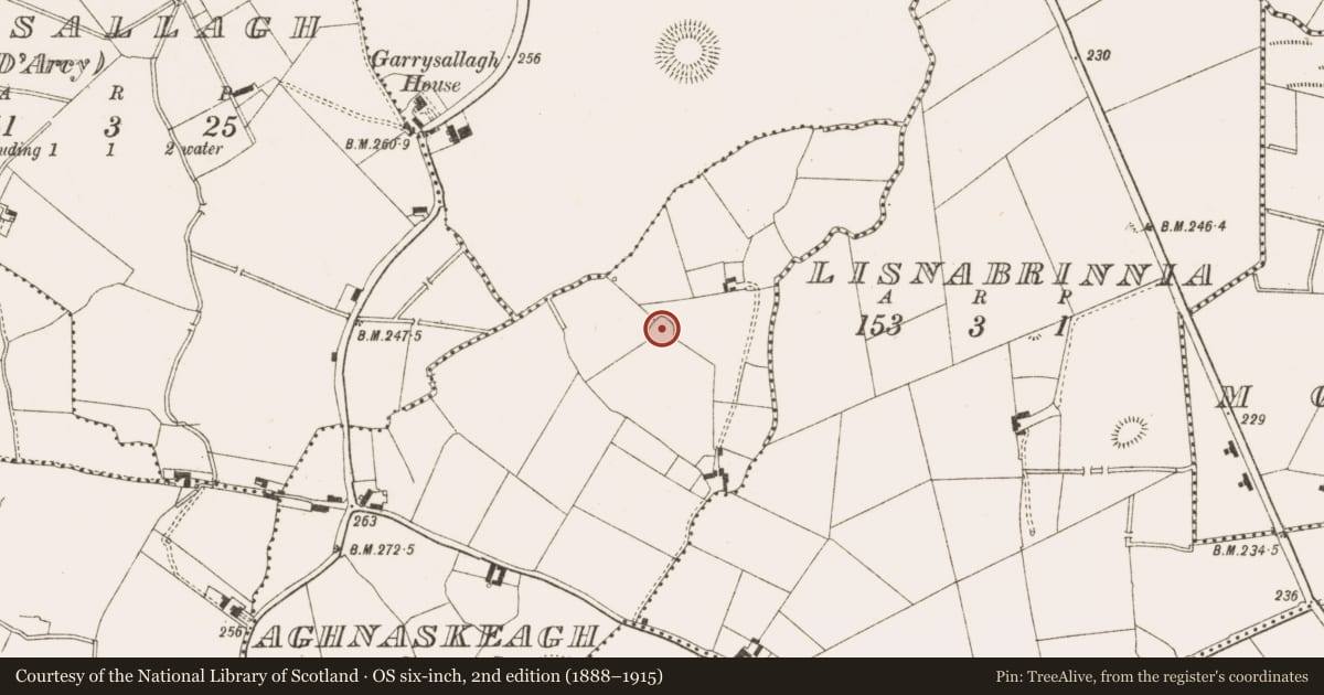 Ordnance Survey six-inch map, 2nd edition (1888–1915) covering the location of Ringfort - rath, Aghnaskeagh, County Cavan, with a pin at the register's coordinates