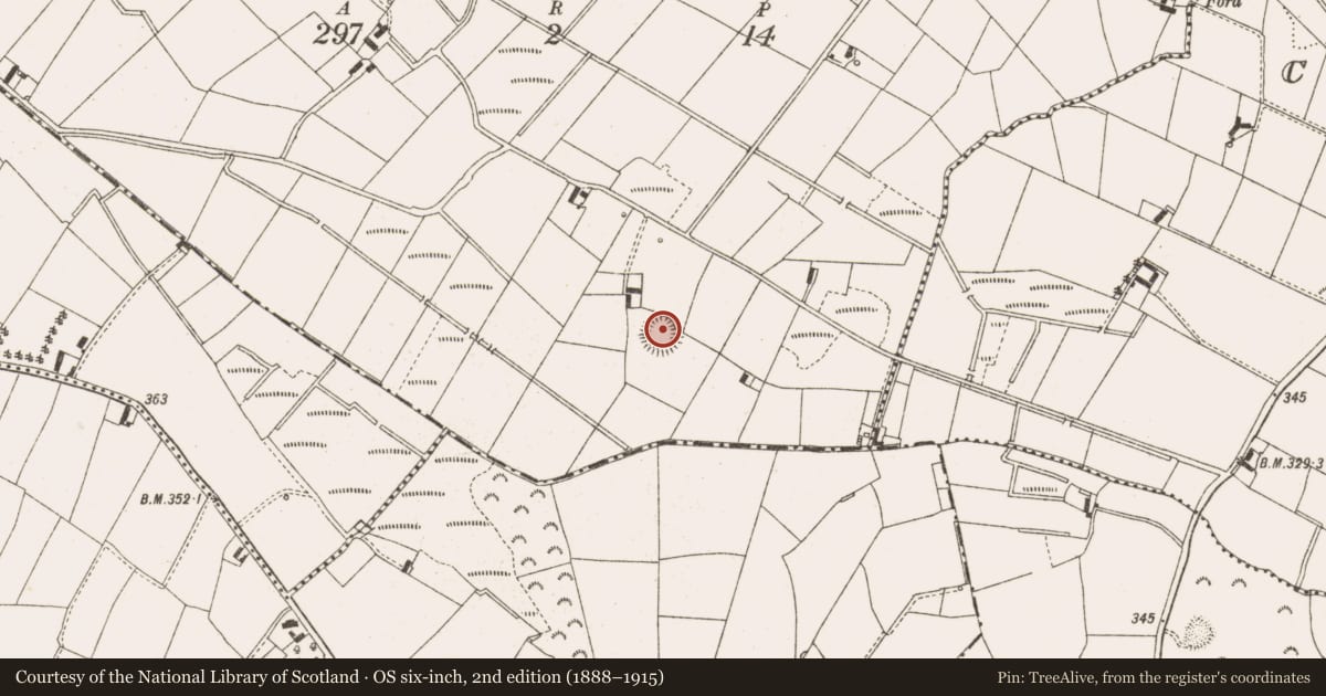 Ordnance Survey six-inch map, 2nd edition (1888–1915) covering the location of Ringfort - rath, Barconny (Nugent), County Cavan, with a pin at the register's coordinates
