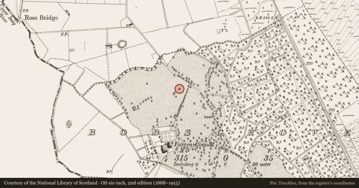 Ordnance Survey six-inch map, 2nd edition (1888–1915) covering the location of Enclosure, Bobsgrove, County Cavan, with a pin at the register's coordinates
