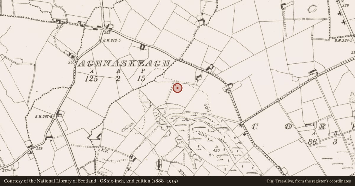 Ordnance Survey six-inch map, 2nd edition (1888–1915) covering the location of Kiln - lime, Crossrah, County Cavan, with a pin at the register's coordinates