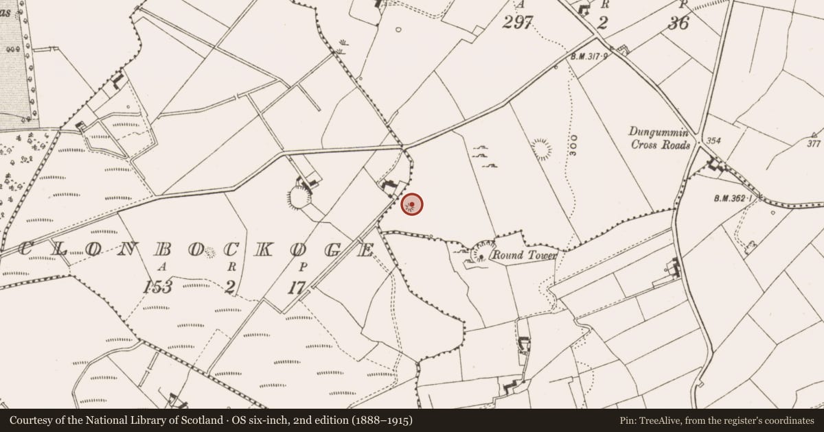 Ordnance Survey six-inch map, 2nd edition (1888–1915) covering the location of Barrow - unclassified, Dungummin Lower, County Cavan, with a pin at the register's coordinates
