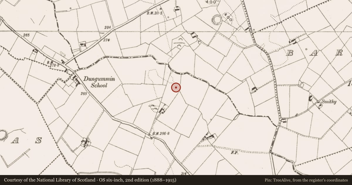 Ordnance Survey six-inch map, 2nd edition (1888–1915) covering the location of Ringfort - rath, Dungummin Lower, County Cavan, with a pin at the register's coordinates