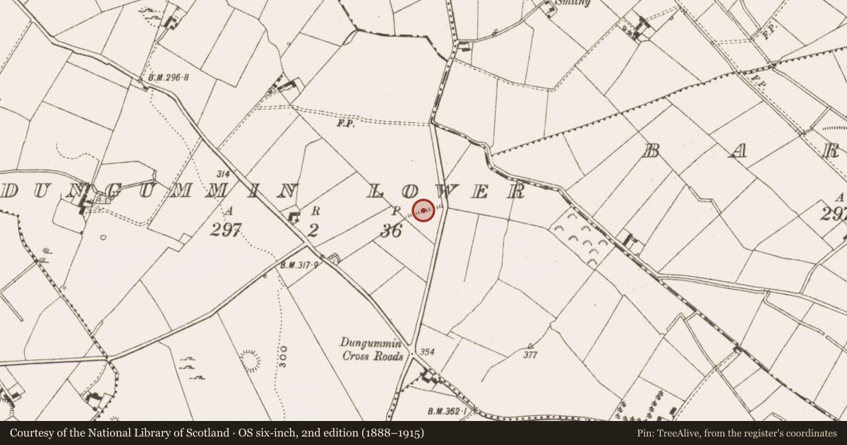 Ordnance Survey six-inch map, 2nd edition (1888–1915) covering the location of Field boundary, Dungummin Lower, County Cavan, with a pin at the register's coordinates