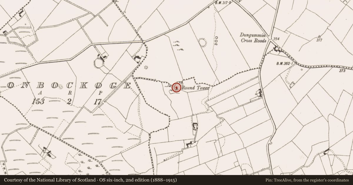 Ordnance Survey six-inch map, 2nd edition (1888–1915) covering the location of Structure, Dungummin Upper, County Cavan, with a pin at the register's coordinates