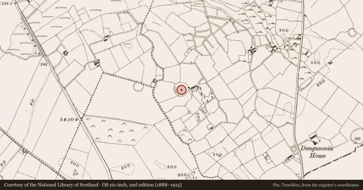 Ordnance Survey six-inch map, 2nd edition (1888–1915) covering the location of Ringfort - rath, Dungummin Upper, County Cavan, with a pin at the register's coordinates