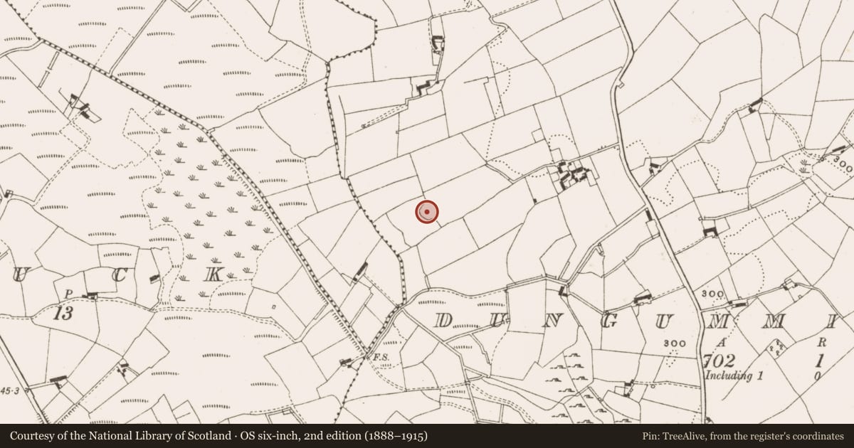 Ordnance Survey six-inch map, 2nd edition (1888–1915) covering the location of Ringfort - rath, Dungummin Upper, County Cavan, with a pin at the register's coordinates
