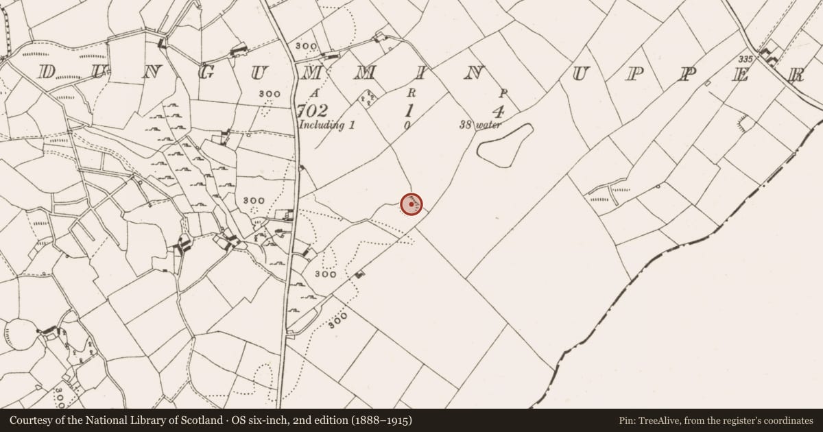 Ordnance Survey six-inch map, 2nd edition (1888–1915) covering the location of Ringfort - rath, Dungummin Upper, County Cavan, with a pin at the register's coordinates