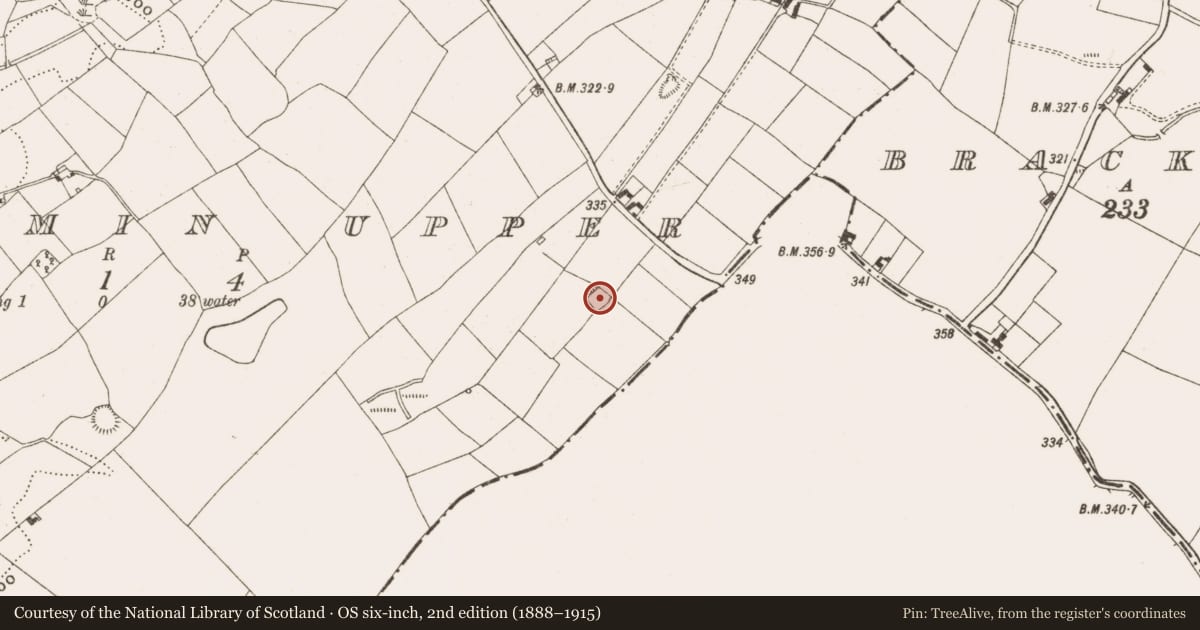 Ordnance Survey six-inch map, 2nd edition (1888–1915) covering the location of Ringfort - rath, Dungummin Upper, County Cavan, with a pin at the register's coordinates