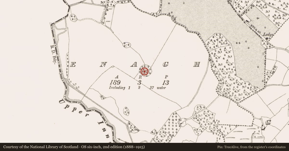 Ordnance Survey six-inch map, 2nd edition (1888–1915) covering the location of Ringfort - rath, Enagh, County Cavan, with a pin at the register's coordinates