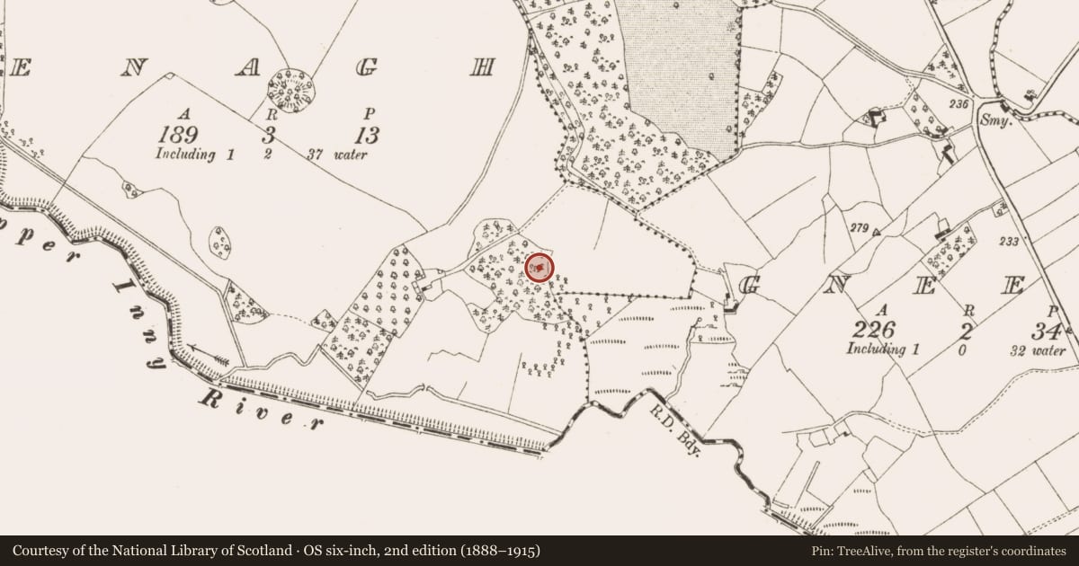 Ordnance Survey six-inch map, 2nd edition (1888–1915) covering the location of Ringfort - rath, Enagh, County Cavan, with a pin at the register's coordinates