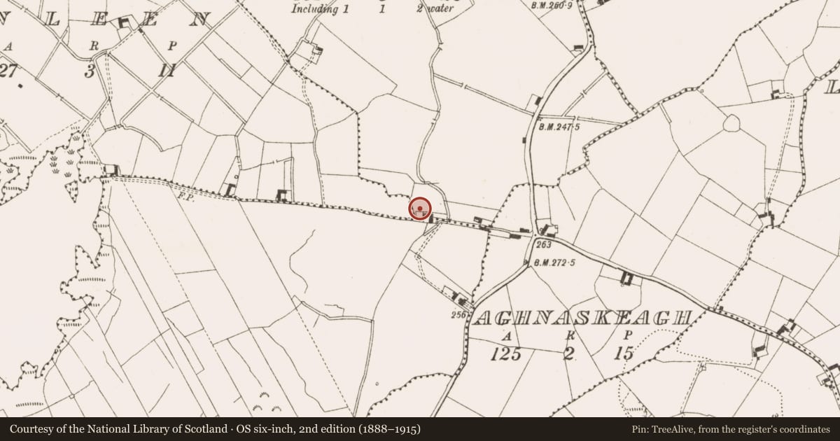 Ordnance Survey six-inch map, 2nd edition (1888–1915) covering the location of Ringfort - rath, Garrysallagh (D'arcy), Tonagh, County Cavan, with a pin at the register's coordinates