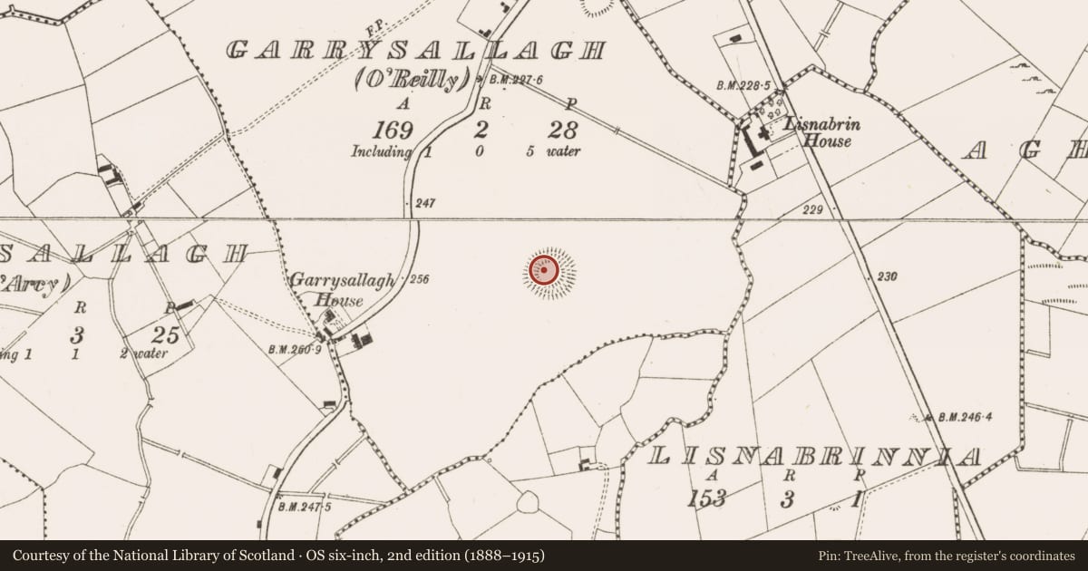 Ordnance Survey six-inch map, 2nd edition (1888–1915) covering the location of Ringfort - rath, Garrysallagh (O'Reilly), County Cavan, with a pin at the register's coordinates