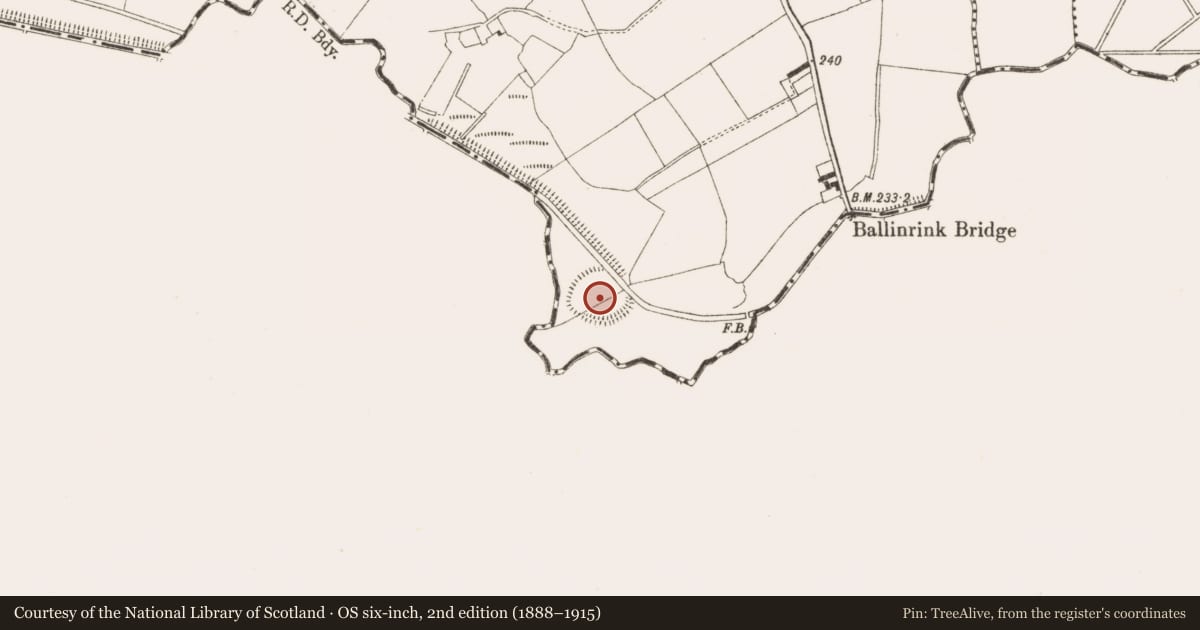 Ordnance Survey six-inch map, 2nd edition (1888–1915) covering the location of Ringfort - rath, Gneeve, County Cavan, with a pin at the register's coordinates