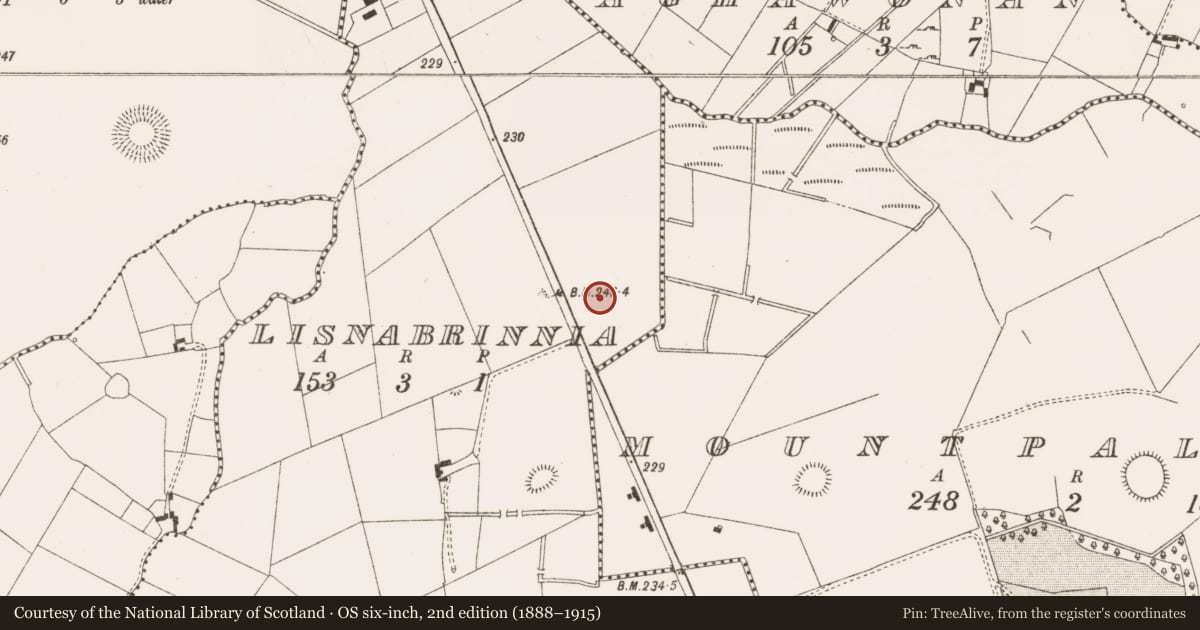 Ordnance Survey six-inch map, 2nd edition (1888–1915) covering the location of Ringfort - rath, Lisnabrinnia, County Cavan, with a pin at the register's coordinates