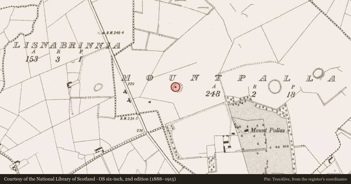Ordnance Survey six-inch map, 2nd edition (1888–1915) covering the location of Ringfort - rath, Mountpallas, County Cavan, with a pin at the register's coordinates