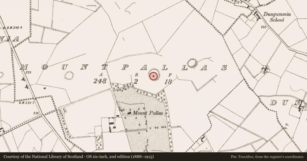 Ordnance Survey six-inch map, 2nd edition (1888–1915) covering the location of Ringfort - rath, Mountpallas, County Cavan, with a pin at the register's coordinates