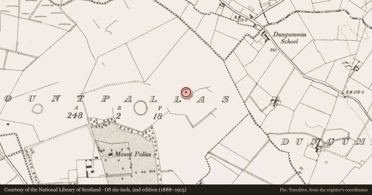 Ordnance Survey six-inch map, 2nd edition (1888–1915) covering the location of Ringfort - rath, Mountpallas, County Cavan, with a pin at the register's coordinates