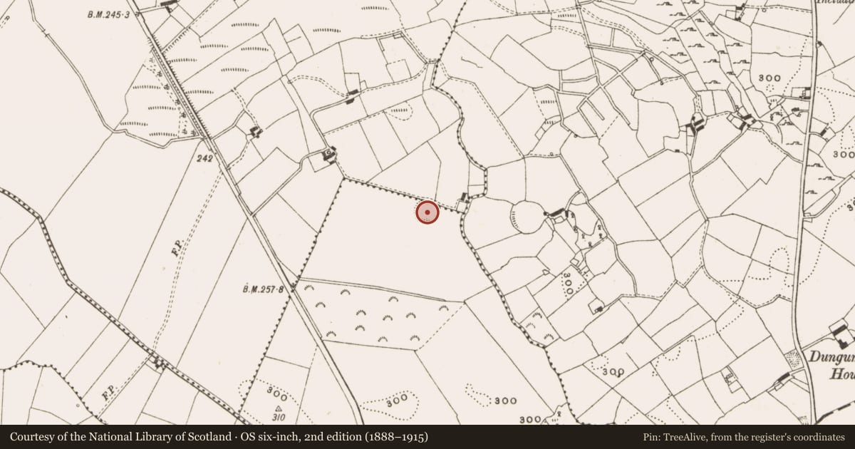 Ordnance Survey six-inch map, 2nd edition (1888–1915) covering the location of Ringfort - rath, Raclaghy, County Cavan, with a pin at the register's coordinates