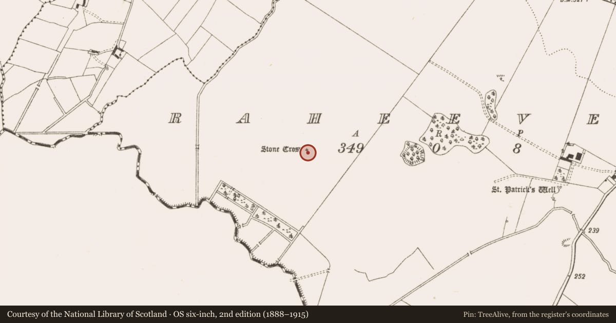 Ordnance Survey six-inch map, 2nd edition (1888–1915) covering the location of Cross, Raheever, County Cavan, with a pin at the register's coordinates